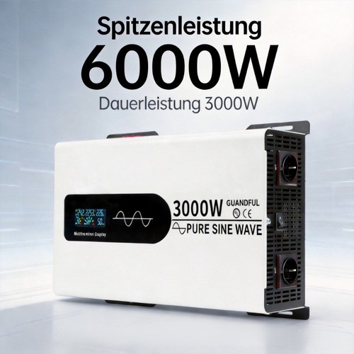 3000w 6000w reiner - 3000w-6000w,
